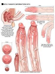 miyu_yamada, yamada_miyu_(gomu), gomu_(artist), 1futa, anatomical_study
