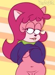 kitty_jo, cattanooga_cats, hanna-barbera, jellystone_(hbo_max), chipposter