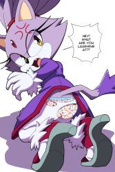 blaze_the_cat, hello_kitty, sega, sonic_(series), sonic_the_hedgehog_(series)
