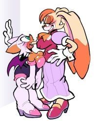 rouge_the_bat, vanilla_the_rabbit, sega, sonic_(series), galactabee