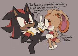 cream_the_rabbit, shadow_the_hedgehog, sonic_(series), sonic_the_hedgehog_(series), duncanscocc