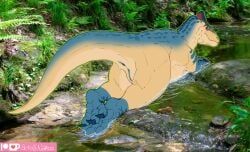 nakoo, anus, blue_body, blue_scales, claws