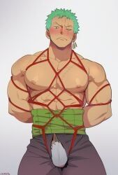 roronoa_zoro, one_piece, vidrith, 1boy, abs