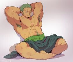 roronoa_zoro, one_piece, vidrith, 1boy, abs