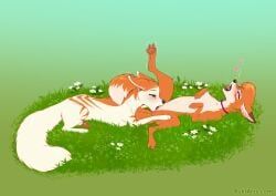 miyuki_(rukifox), rukifox, animal_genitalia, blush, butt