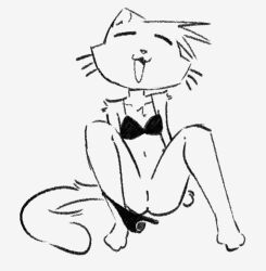 funnysillydog, anthro, bikini, bottomless, clothed