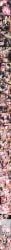 original, shuffle_(songdatiankong), 2boys, after_anal, after_sex