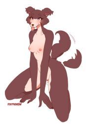 juno_(beastars), beastars, foxypew, anthro, blush