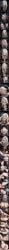 draco_malfoy, draco_malfoy_(redteneri), harry_potter, harry_potter_(series), kisstaurus