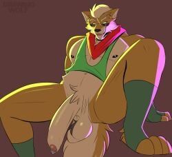 james_mccloud, nintendo, star_fox, drawingwolf2611, anthro