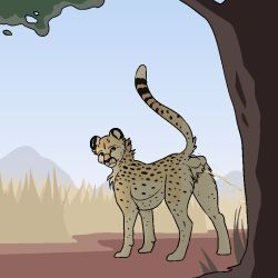 animal_genitalia, balls, bodily_fluids, brown_eyes, cheetah