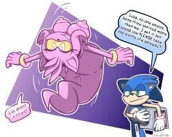 amy_rose, sonic_the_hedgehog, sonic_(series), sonic_the_hedgehog_(series), chabble