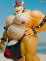bowser, koopa, bowser_day, codans, maulclaw