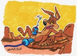 wile_e._coyote, looney_tunes, warner_brothers, zaeryn, acme
