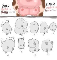 trudo-gosha, animal, belly, belly_button, big_udder