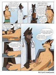 anthro, balls, bottomless, boxers_(clothing), canid