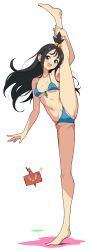 duro_(pokemon), lida_(pokemon), nintendo, pokemon, pokemon_legends:_z-a