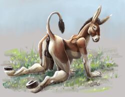 coypowers, all_fours, animal_genitalia, animal_penis, anthro