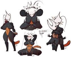 hornet_(hollow_knight), shakra_(hollow_knight), hollow_knight, hollow_knight:_silksong, hollow_knight_(franchise)