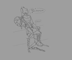 second_sentinel, shakra_(hollow_knight), shakra_(hollow_knight:_silksong), hollow_knight, hollow_knight:_silksong