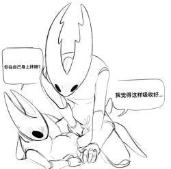 hollow_knight_(character), hornet_(hollow_knight), pure_vessel, pure_vessel_(hollow_knight), hollow_knight