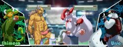 pokemon_(species), tauros, zangoose, nintendo, pokemon