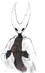 hollow_knight_(character), pure_vessel, pure_vessel_(hollow_knight), hollow_knight, hollow_knight:_silksong