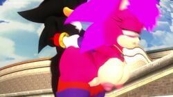 shadow_the_hedgehog, sonia_the_hedgehog, sonic_(series), sonic_the_hedgehog_(series), leviantan581re