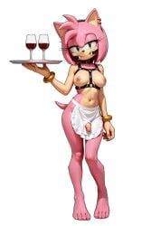 amy_rose, sega, sonic_the_hedgehog_(series), 1girls, alcohol