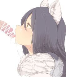 shiori_(princess_connect!), princess_connect!, kohaku_q, after_fellatio, animal_ears