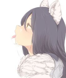 shiori_(princess_connect!), princess_connect!, kohaku_q, animal_ears, black_hair