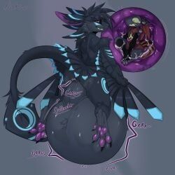 protogen, avali, plateous, anthro, belly