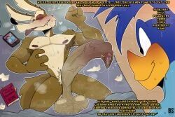 road_runner_(looney_tunes), wile_e._coyote, looney_tunes, warner_brothers, bacon_sama