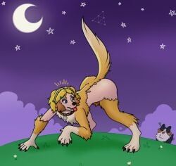 hylian_retriever, princess_zelda, nintendo, the_legend_of_zelda, cloney