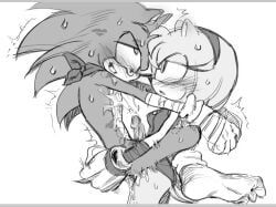 amy_rose, amy_rose_(boom), sonic_(boom), sonic_the_hedgehog, sonic_(series)