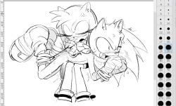 amy_rose, amy_rose_(boom), sonic_(boom), sonic_the_hedgehog, sonic_(series)