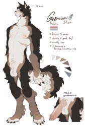 molokoo17, animal_genitalia, animal_penis, anthro, bernese_mountain_dog