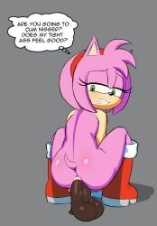 amy_rose, sonic_(series), digitalkaiju, 1girls, anal