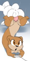 xylas, anus, backsack, balls, ballsack