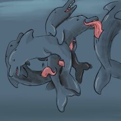 xratedstuf, animal_genitalia, animal_penis, animal_vulva, aquatic
