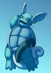 generation_1_pokemon, pokemon_(species), wartortle, nintendo, pokemon