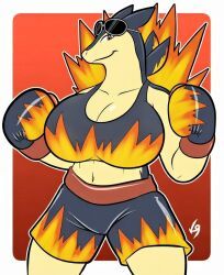 pokemon_(species), typhlosion, nintendo, pokemon, pokemon_gsc