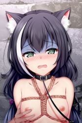 karyl_(princess_connect!), princess_connect!, chrisandita, animal_ear_fluff, animal_ears