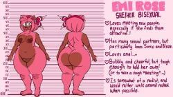 amy_rose, sega, sonic_the_hedgehog_(series), rosepits, 3_toes