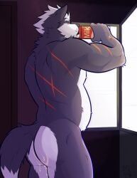 wolf_o'donnell, nintendo, star_fox, ventkazemaru, after_anal