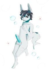 anthro, aquatic, bubble, erection, finpalisade