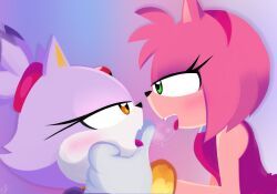 amy_rose, blaze_the_cat, sega, sonic_the_hedgehog_(series), e-01