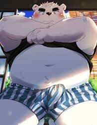 anthro, bear, belly, bodily_fluids, clothing