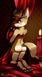 riverglaive, anthro, ass, candle, canid