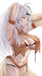 yixuan_(zenless_zone_zero), zenless_zone_zero, penguintake, 1girls, belly_dancer_outfit